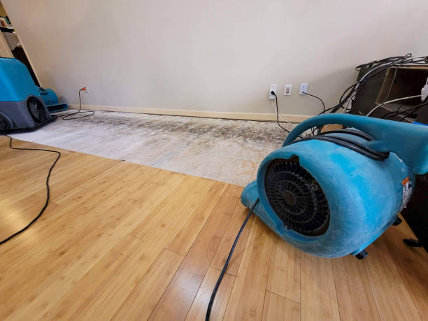Reliable Basement Flood Cleanup contractor in Lake Dallas, TX by Hirex Water Damage