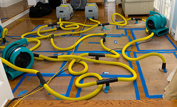 Professional Basement Flood Cleanup technician working in Lake Dallas, TX